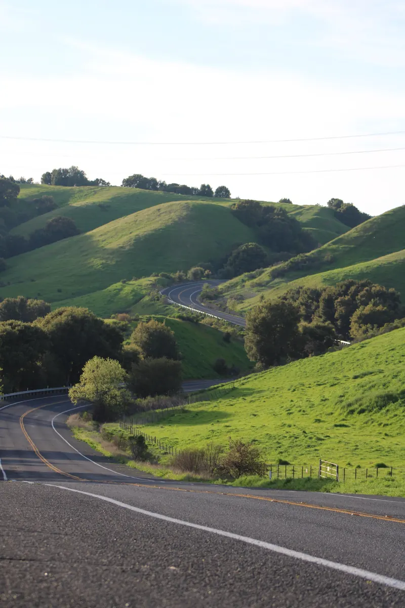 A road curving through green hills