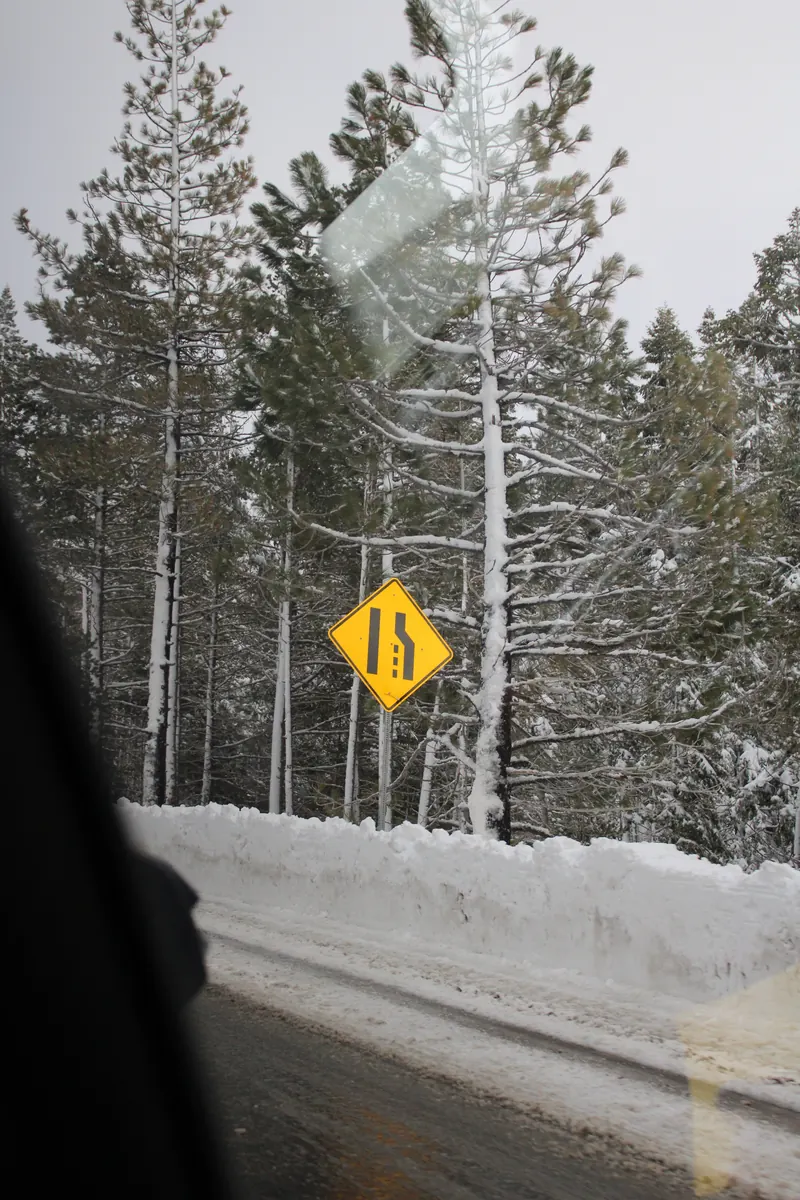 A snowy road through pine trees, seen from a car