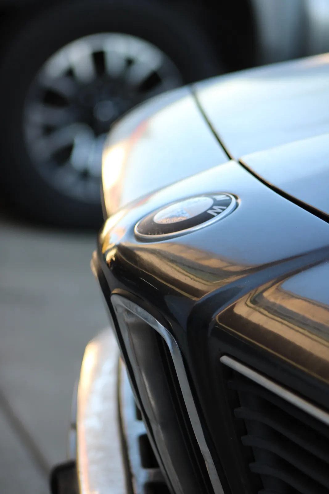 Close-up of the BMW roundel on the 635’s hood and grille