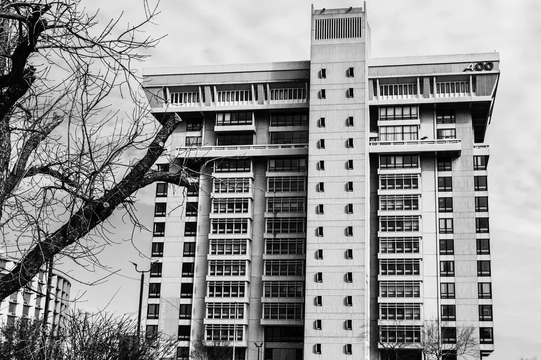 A brutalist tower in black and white behind bare trees